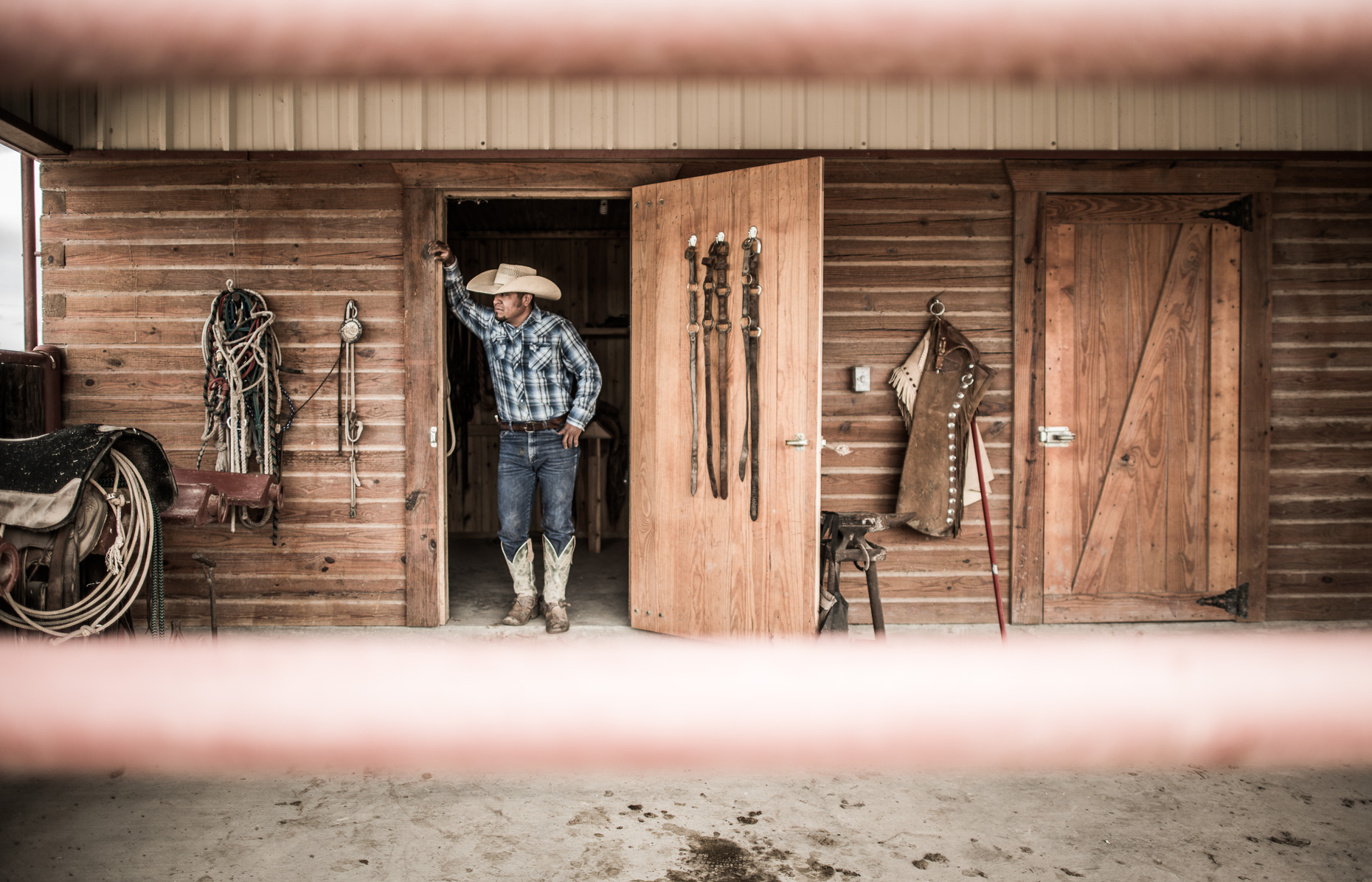 Farm Credit - Texas Cattle -4768