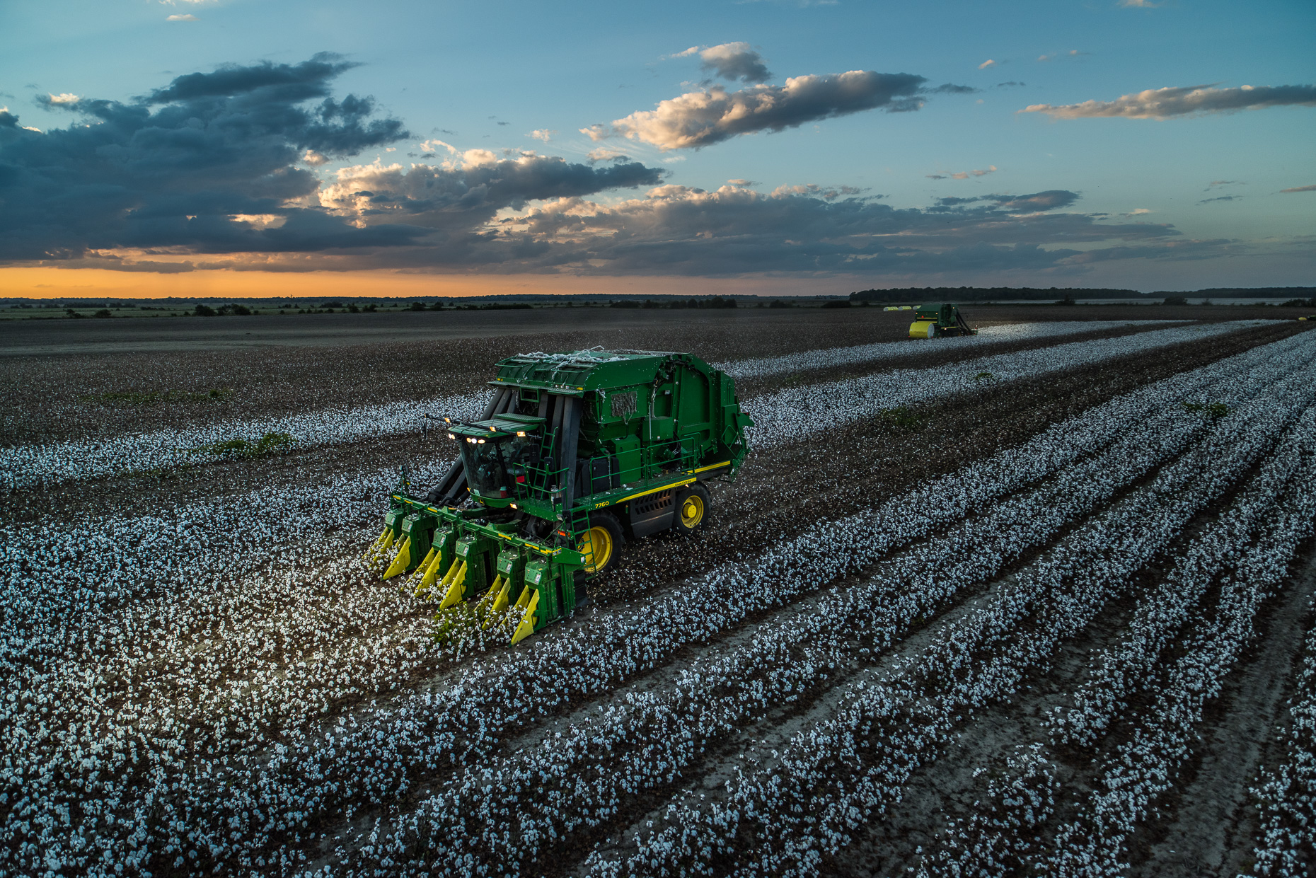 Mississippi_Cotton_DSC_6649